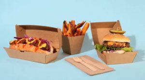 Custom Fast Food Boxes
