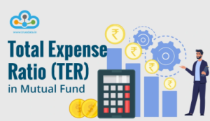 Total Expense Ratio